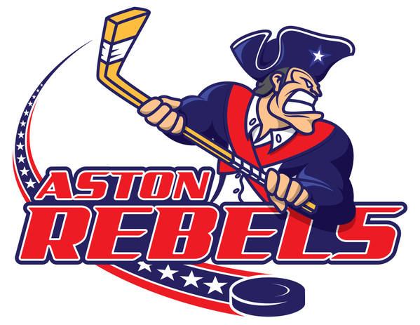 Aston Rebels 2015-Pres Primary Logo iron on transfers for T-shirts